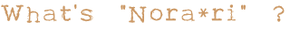 What's Nora*ri??